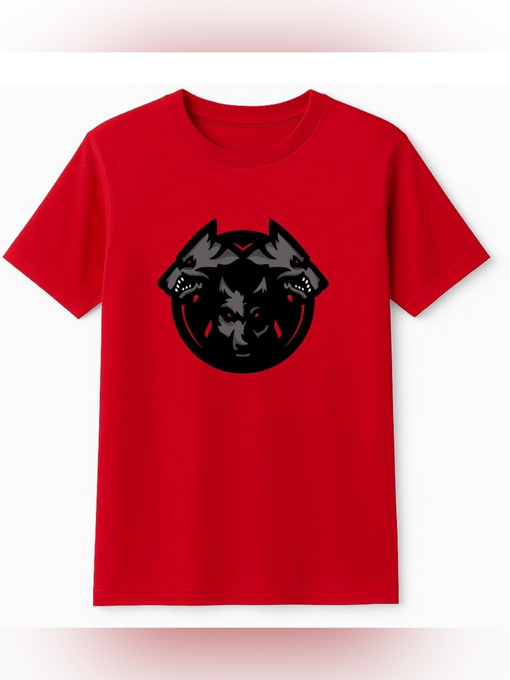 Unisex Adult Kipp Adult Houston High School Short Sleeve Spirit Tee-SIZE M